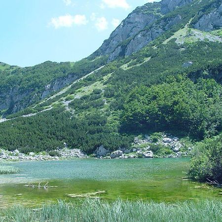 Apartments Durmitorska Vila Žabljak Eksteriør billede