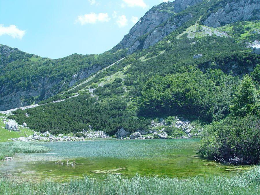 Apartments Durmitorska Vila Žabljak Eksteriør billede